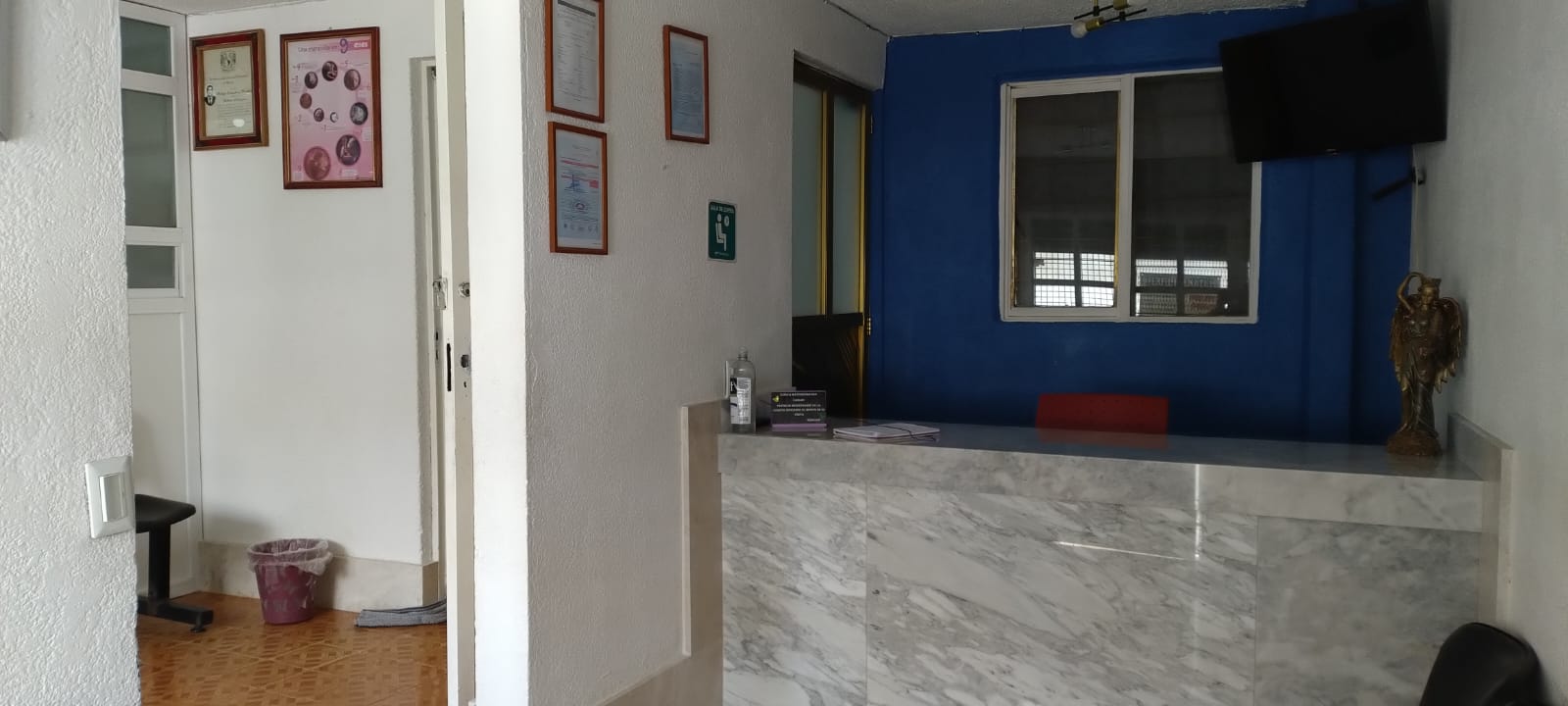 Consulta médica profesional